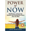 Power of Now: Mindfulness, Living in the moment and creating the future that you want - Paperback