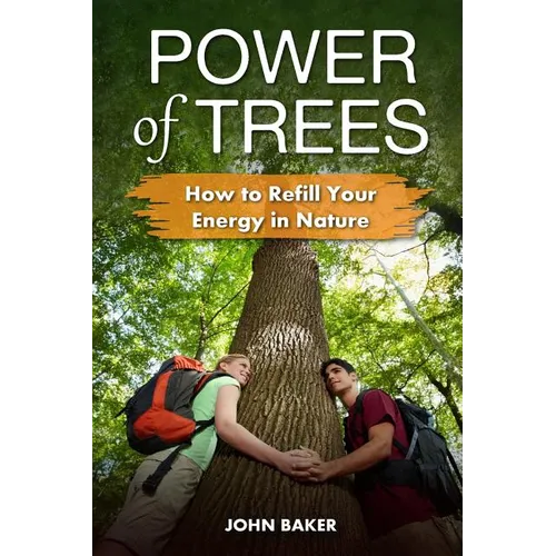 Power of Trees: How to Refill Your Energy in Nature