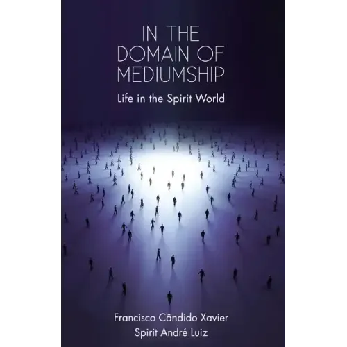 In the Domain of Mediumship: Life in the Spirit World - Paperback