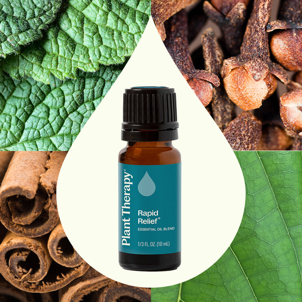 Plant Therapy Rapid Relief Essential Oil 10 Ml