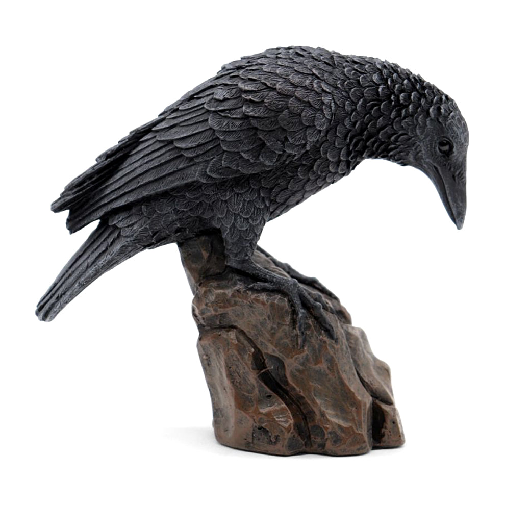 Downward Looking Raven | Statue | Wiccan Center