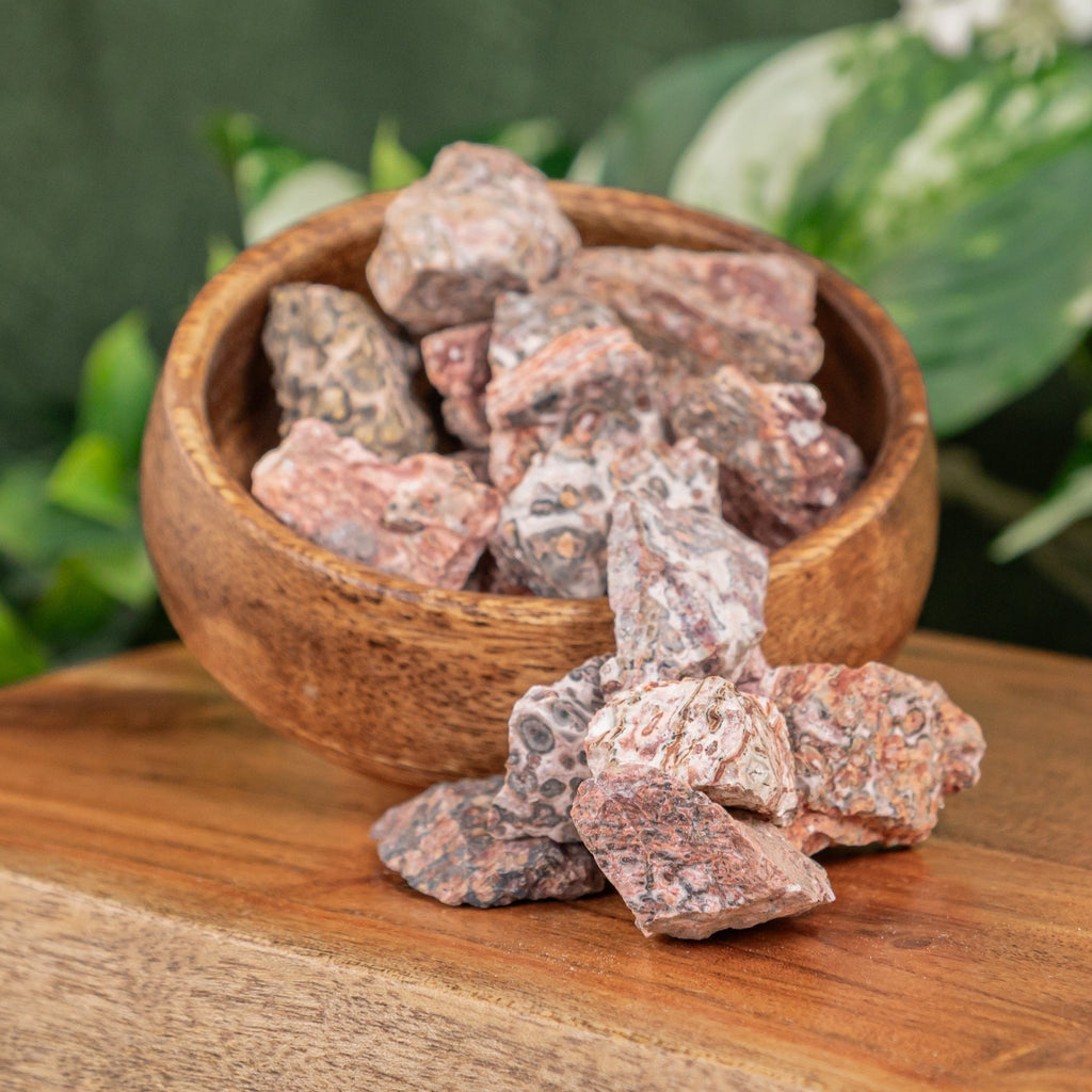 Leopardskin Jasper Raw | Religious Items | Wiccan Center