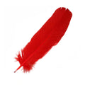 Red Feather 12" | Feathers | Wiccan Center