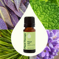 Plant Therapy Respir Aid Essential Oil 10 Ml