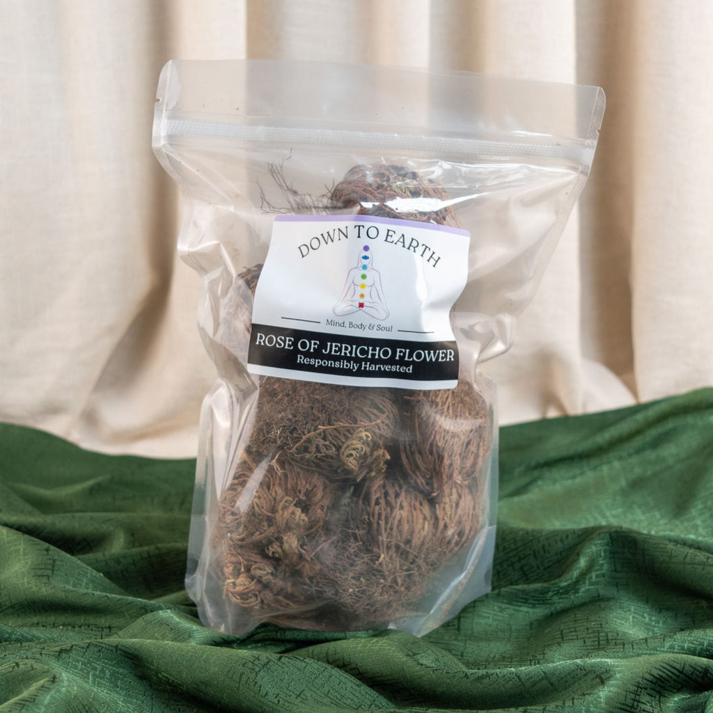 Rose of Jericho Flower | | Wiccan Center