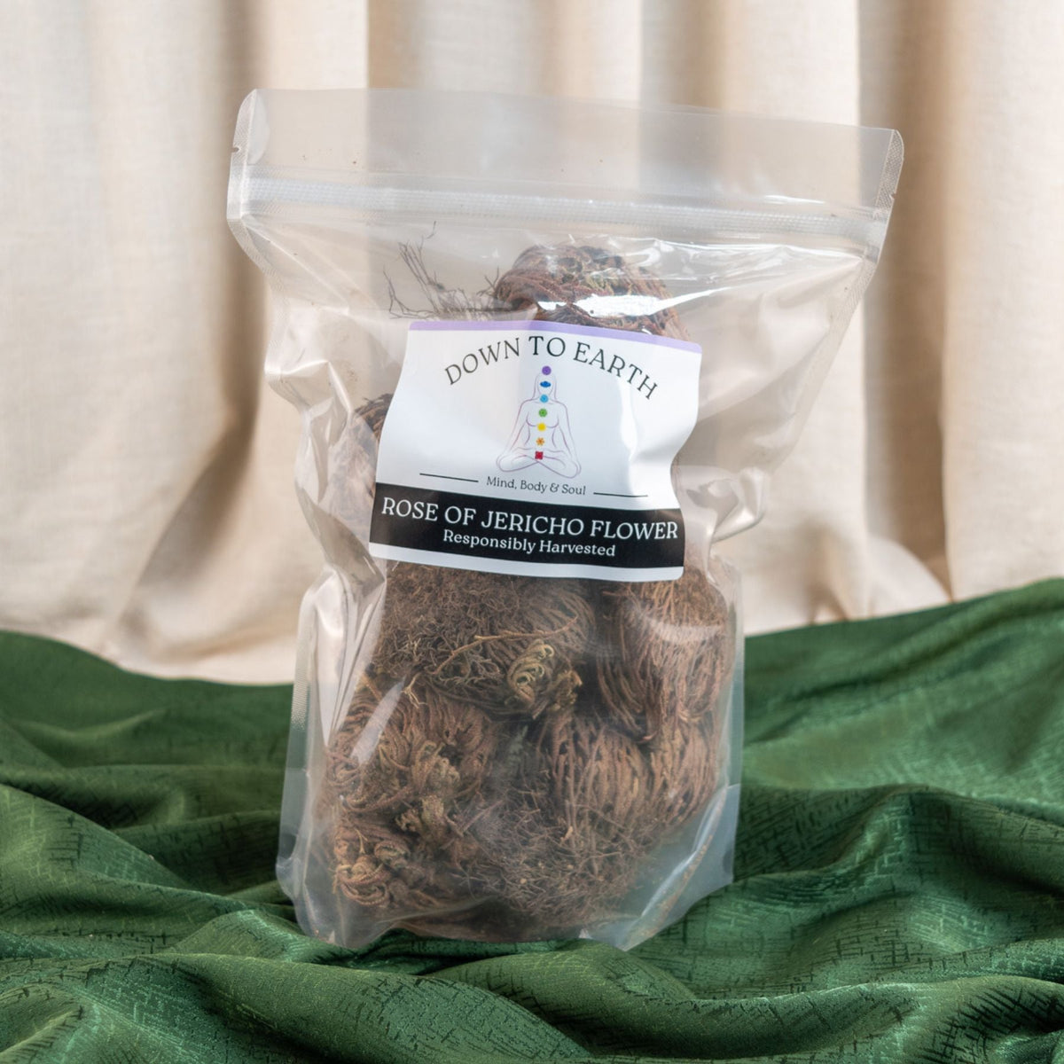 Rose of Jericho Flower | | Wiccan Center