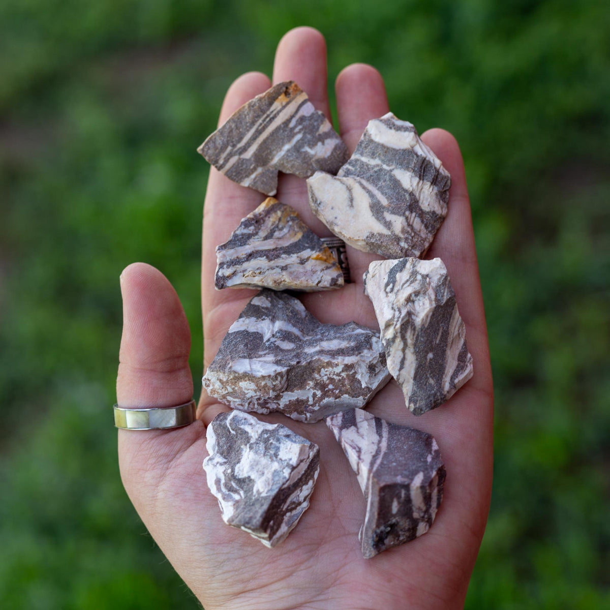 Zebra Jasper Raw 1lb