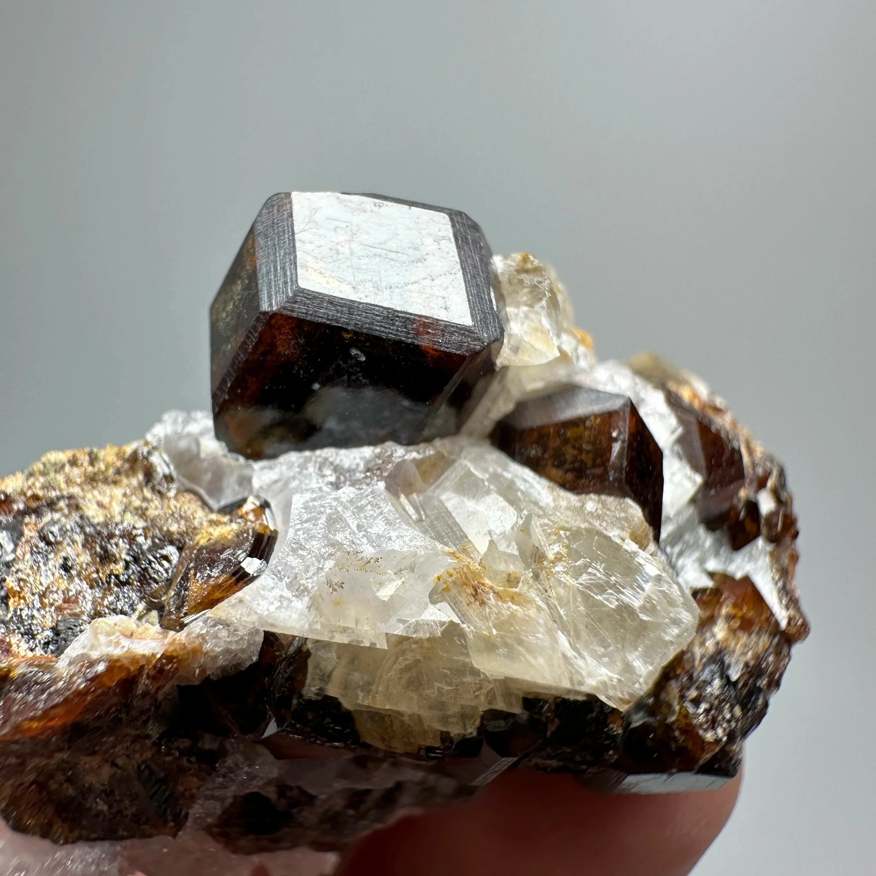 Natural Dark Brown Andradite Garnet Cluster Raw Crystal Mineral Specimen Calcite Matrix Healing Stone Home Decoration