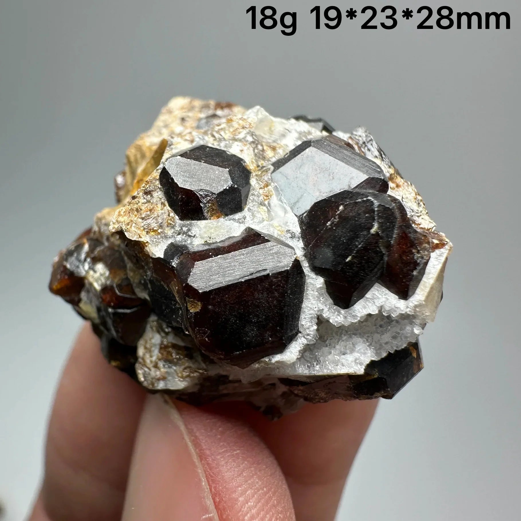 Natural Dark Brown Andradite Garnet Cluster Raw Crystal Mineral Specimen Calcite Matrix Healing Stone Home Decoration