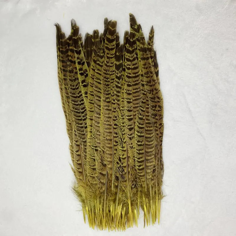 Natural Female Pheasant Tail Feathers (10pcs/lot) | Pheasant Feathers | Wiccan Center