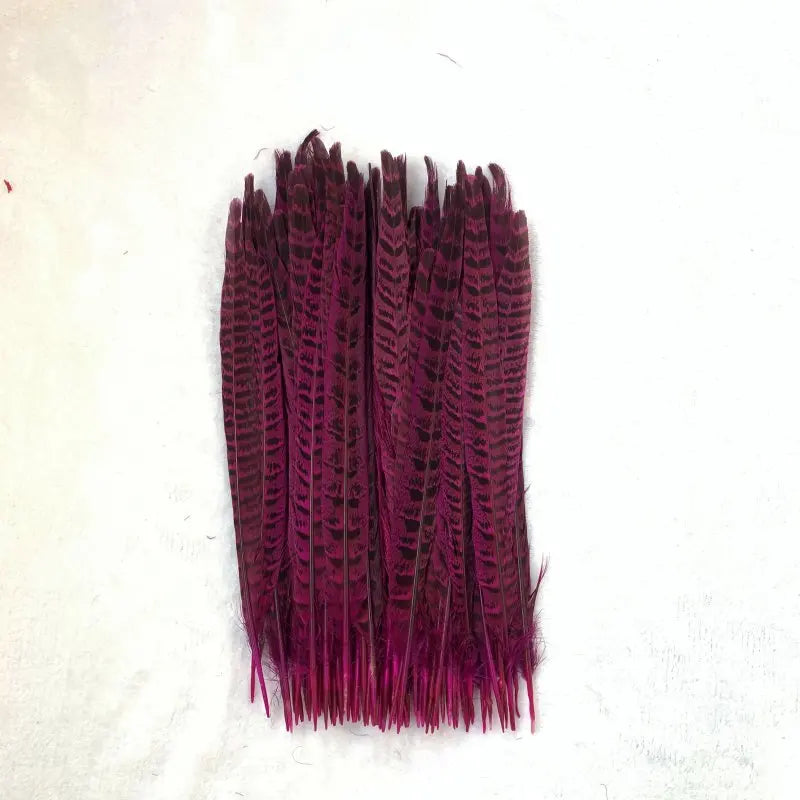 Natural Female Pheasant Tail Feathers (10pcs/lot) | Pheasant Feathers | Wiccan Center
