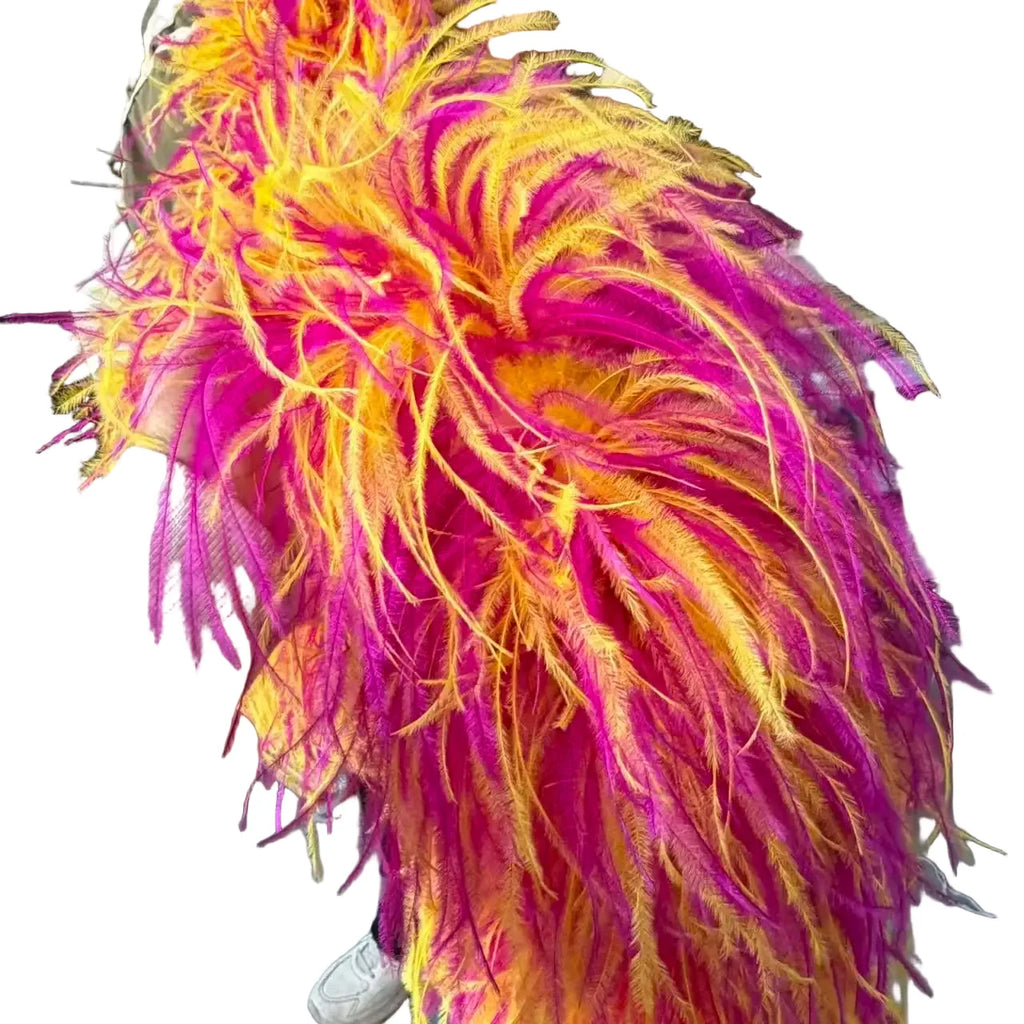 Mixed Color Ostrich Feather Boa & Shawl (2 Meters)