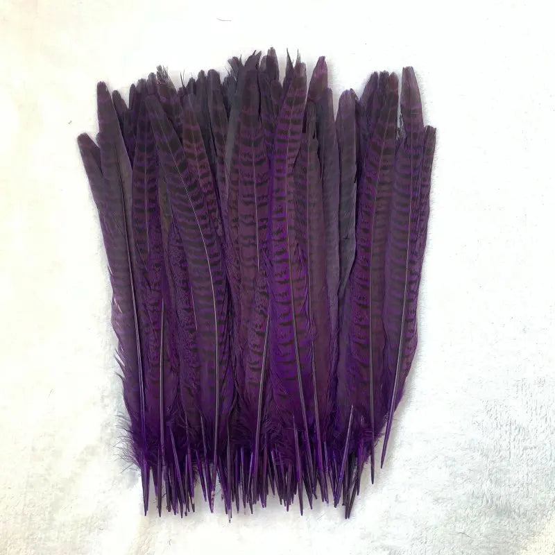 Natural Female Pheasant Tail Feathers (100PCS) | Tailfeathers | Wiccan Center