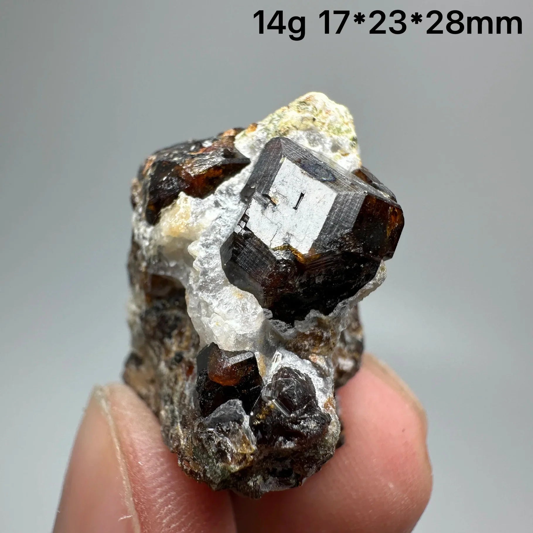 Natural Dark Brown Andradite Garnet Cluster Raw Crystal Mineral Specimen Calcite Matrix Healing Stone Home Decoration