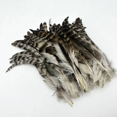 100PCS Natural Barred Rooster Tail Feathers (15-45CM) | Feathers | Wiccan Center