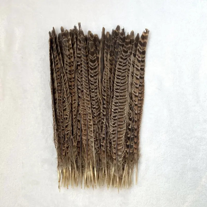 Natural Female Pheasant Tail Feathers (100PCS) | Tailfeathers | Wiccan Center