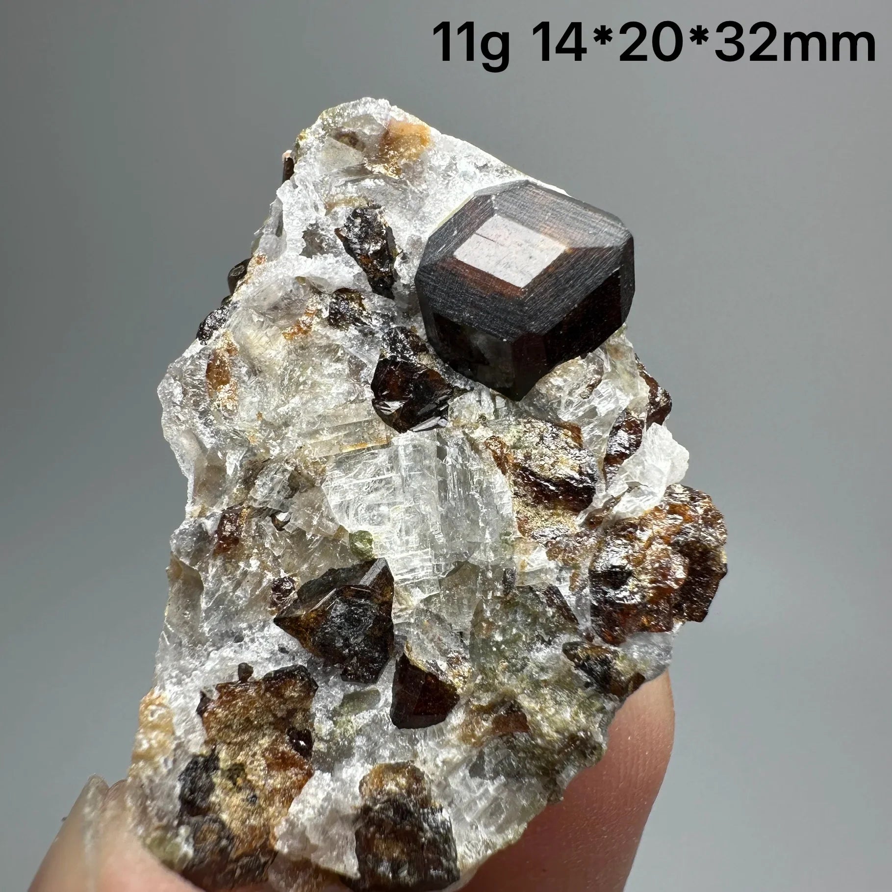 Natural Dark Brown Andradite Garnet Cluster Raw Crystal Mineral Specimen Calcite Matrix Healing Stone Home Decoration
