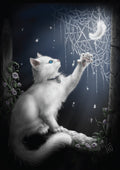 Snow Kitten Card | Cards - She Black Dragon | Wiccan Center