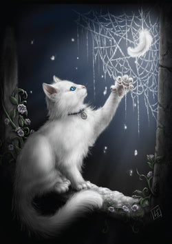 Snow Kitten Card | Cards - She Black Dragon | Wiccan Center
