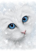 Winter Cat Card | Cards - She Black Dragon | Wiccan Center
