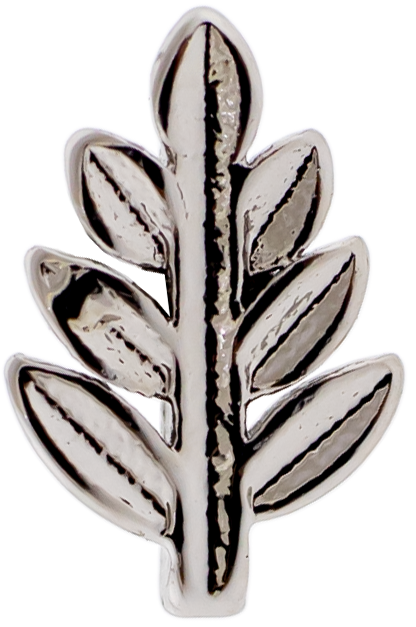 16G Pvd Barbell w/ Leaf End | Body Jewelry | Wiccan Center