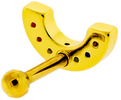 16G PVD Gem Rainbow Cartilage Barbell | | Wiccan Center