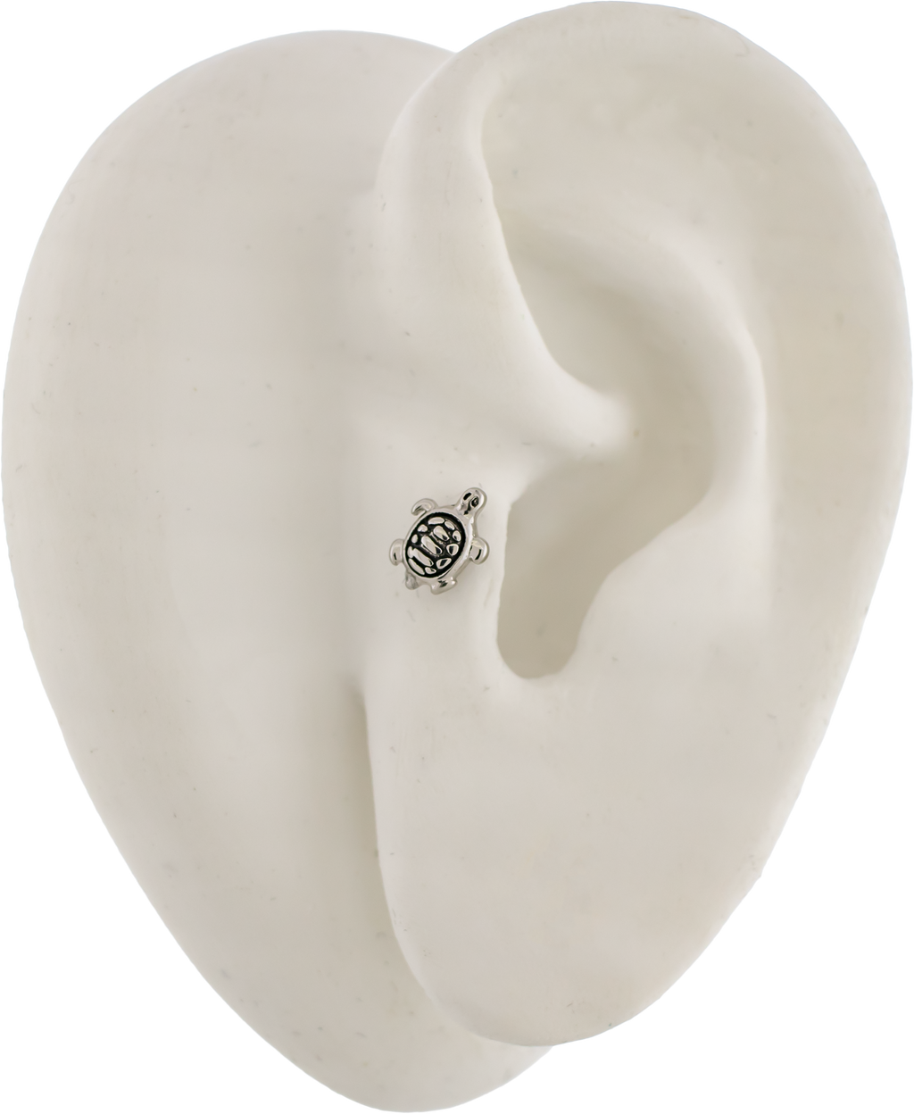 16G Turtle Cartilage Barbell | | Wiccan Center