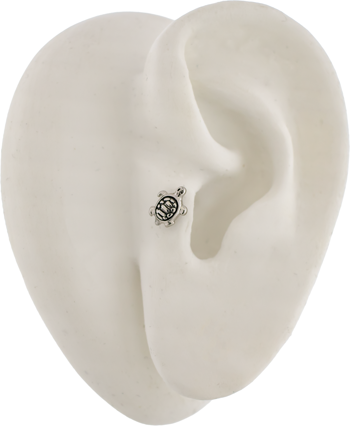 16G Turtle Cartilage Barbell | | Wiccan Center