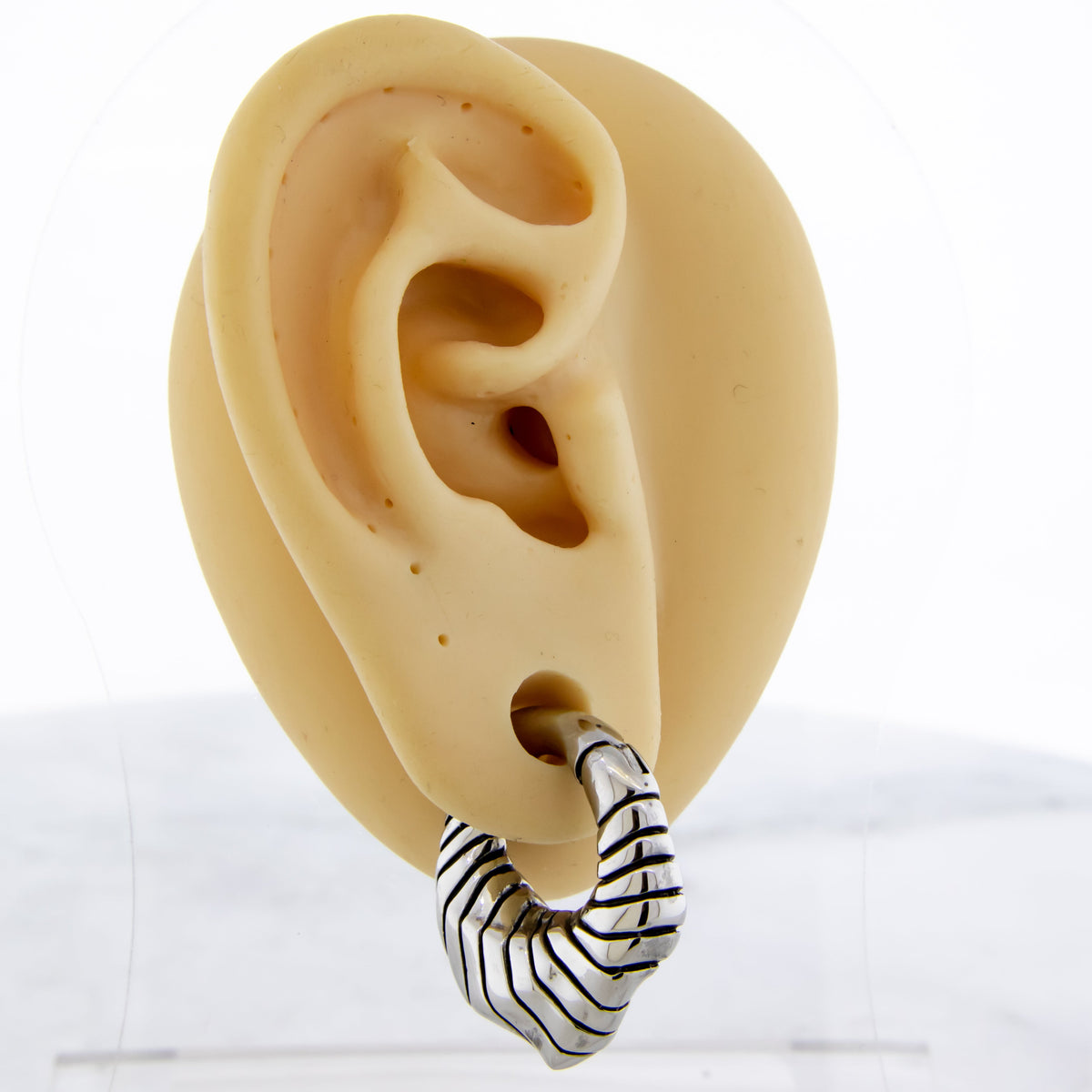 6G Steel Cast Rippled Shell Texture Ear Weight Clicker | Body Jewelry | Wiccan Center