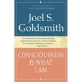 Consciousness Is What I Am - Paperback