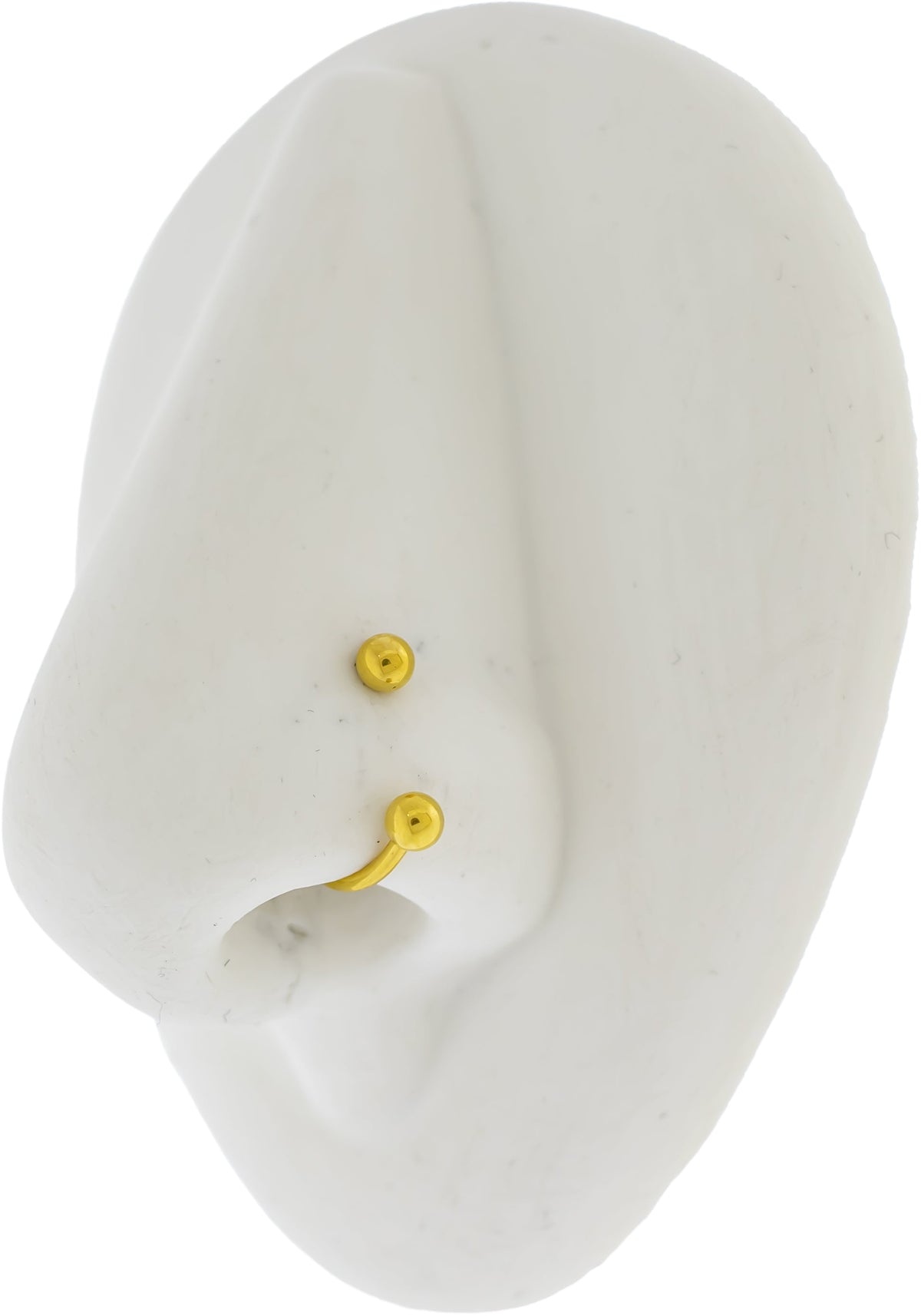 Steel Externally Threaded Horseshoe W/ Gold PVD | Body Jewelry | Wiccan Center
