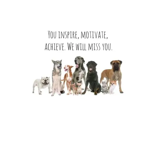 You inspire, motivate, achieve. We will miss you.: Perfect goodbye gift for coworker that is leaving / going away gift for your co worker, boss, manag - Paperback | Books | Wiccan Center