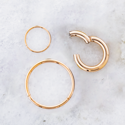 20G - 10G Steel Rose Gold PVD Hinged Segment Rings | Body Jewelry | Wiccan Center
