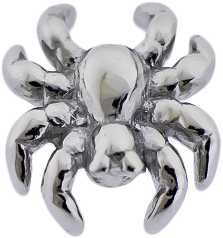 Steel Externally Threaded End - Spider 16G | Body Jewelry | Wiccan Center