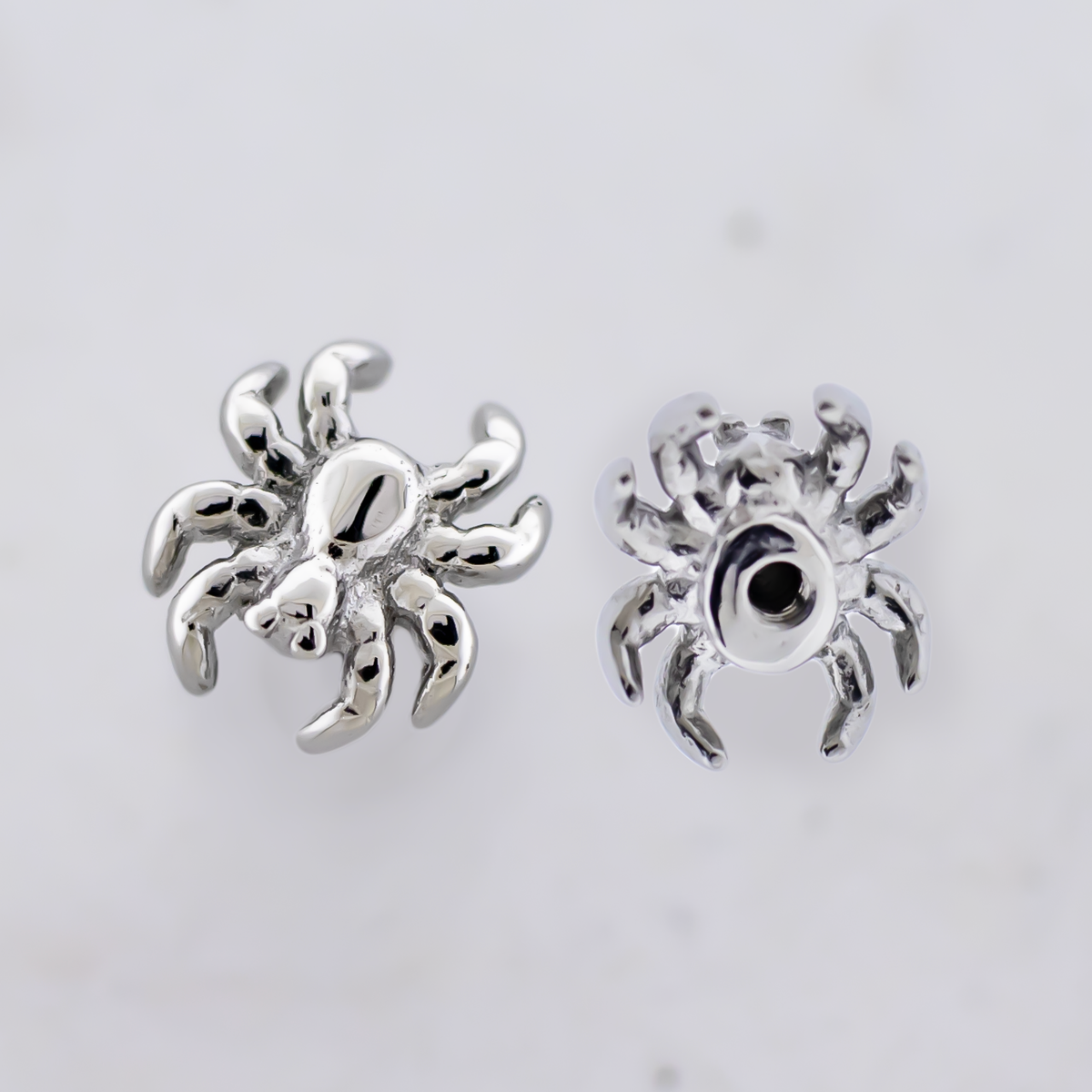 Steel Externally Threaded End - Spider 16G | Body Jewelry | Wiccan Center