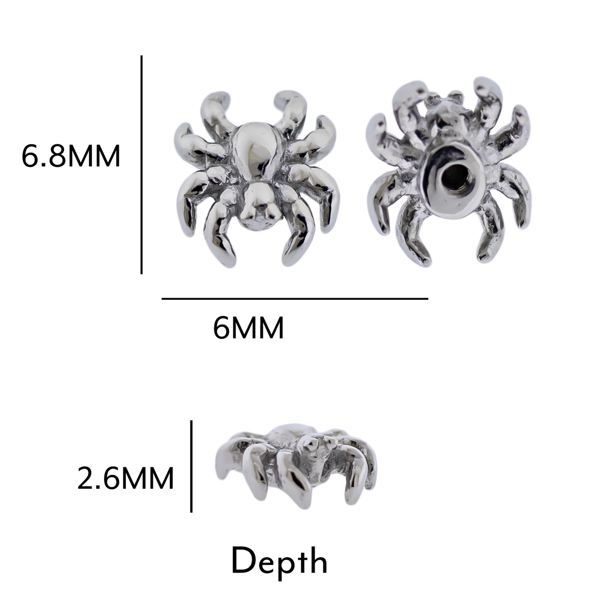 Steel Externally Threaded End - Spider 16G | Body Jewelry | Wiccan Center