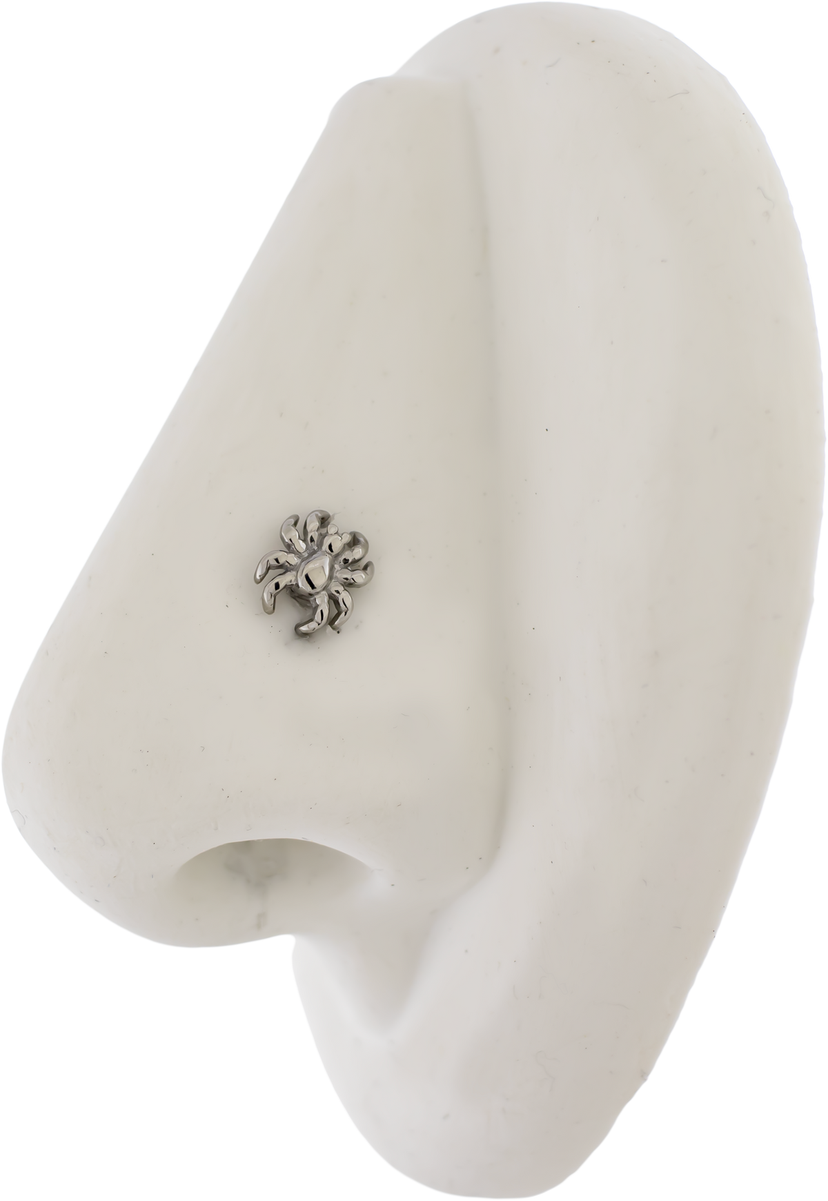 Steel Externally Threaded End - Spider 16G | Body Jewelry | Wiccan Center