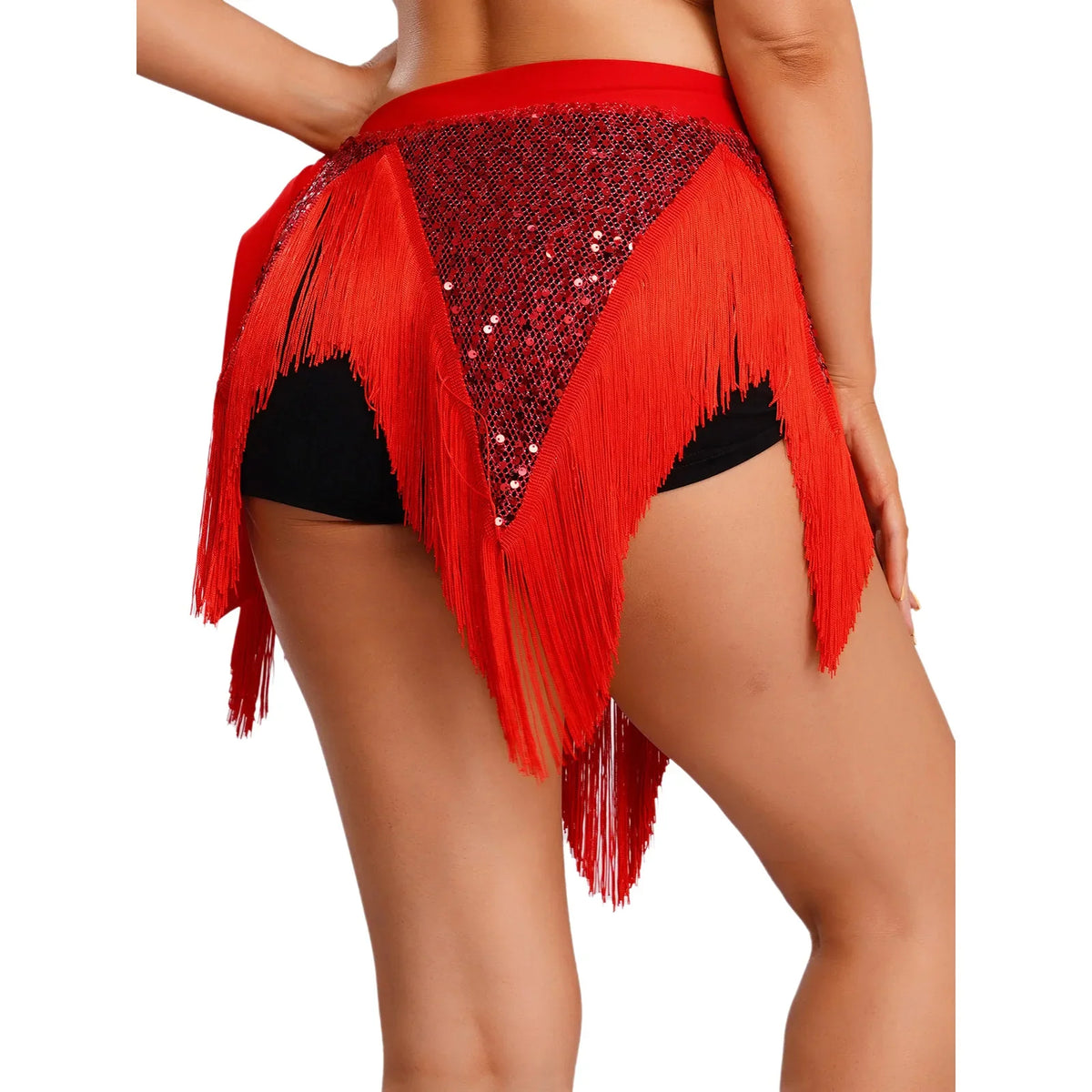 Glitter Sequin Fishnet Mesh Hip Scarf & Tassel Waist Wrap Belly Dance Skirt | Skirts | Wiccan Center
