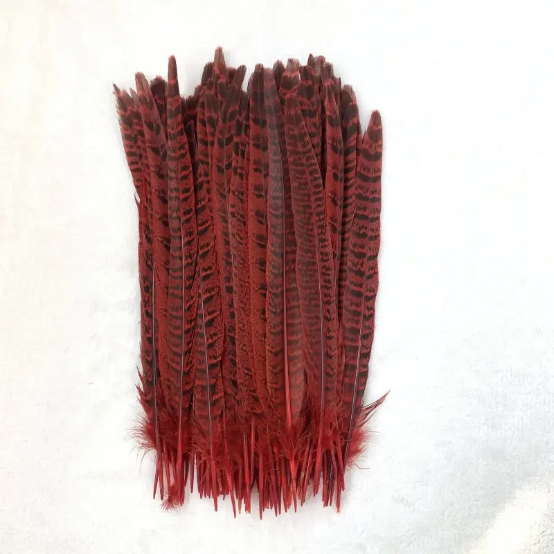 Natural Female Pheasant Tail Feathers (10pcs/lot) | Pheasant Feathers | Wiccan Center