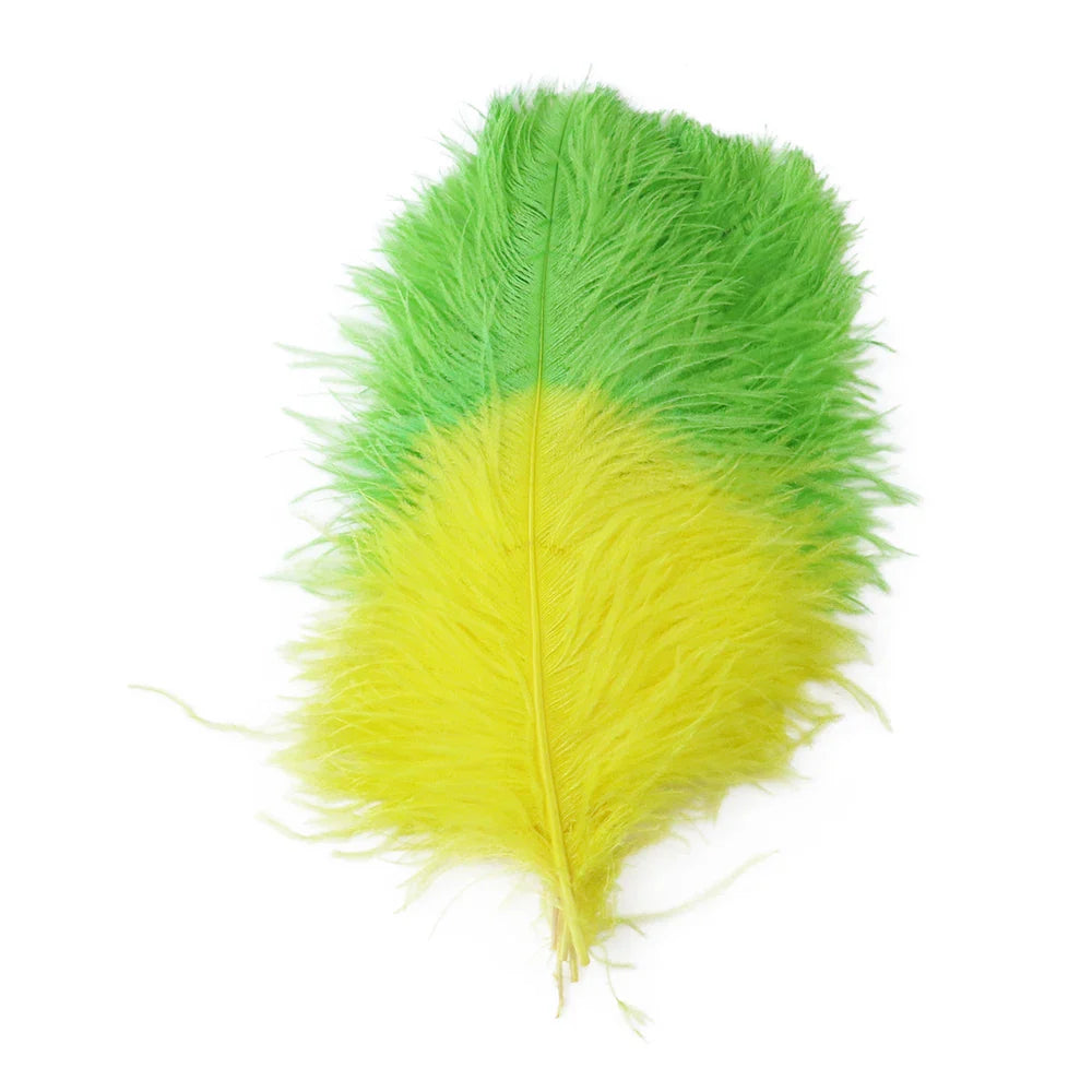 10PC Two-Tone Decorative Feather Plumes | Ostrich Feathers | Wiccan Center