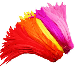 50pcs Natural Rooster Tail Feather Plumes | Feathers | Wiccan Center