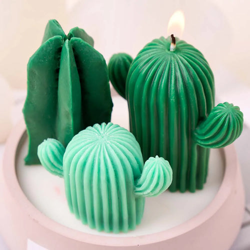 3D Cactus Aromatherapy Candle Silicone Mold DIY Simulation Succulent Plant Clay Molds Soap Plaster Resin Craft Making Home Decor | | Wiccan Center
