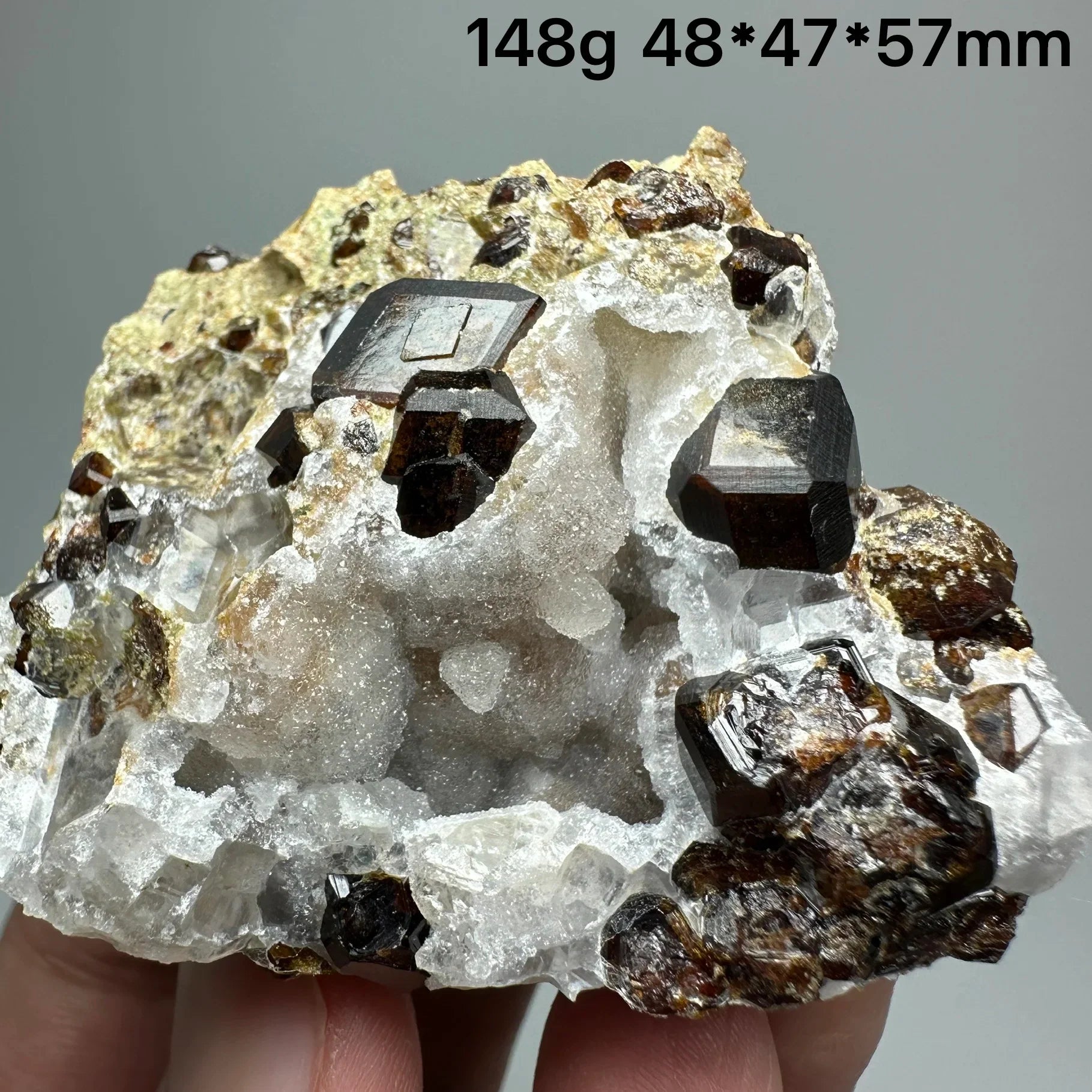 Natural Dark Brown Andradite Garnet Cluster Raw Crystal Mineral Specimen Calcite Matrix Healing Stone Home Decoration
