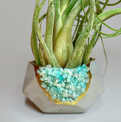 AMAZONITE GEOMETRIC PLANTER | Geometric Planter | Wiccan Center
