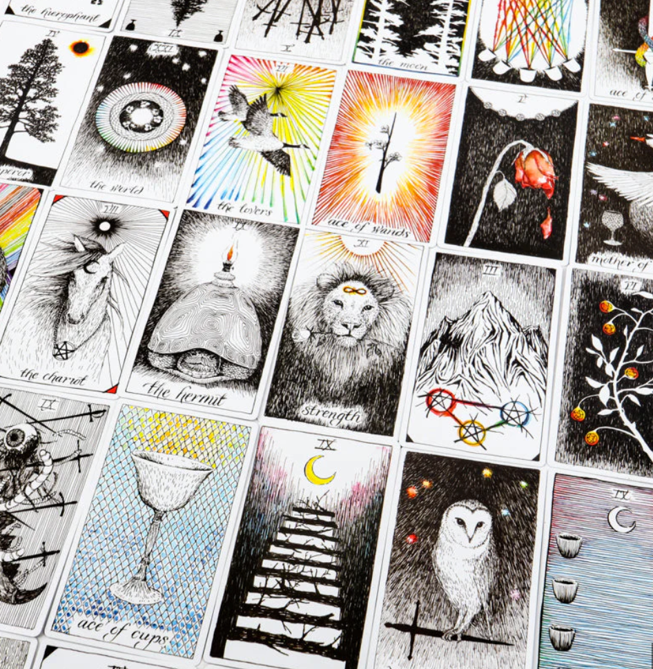 The Wild Unknown Tarot Card Deck | Tarot Cards | Wiccan Center