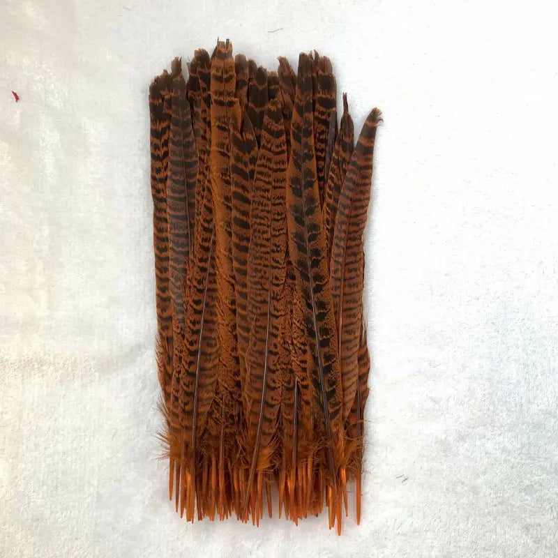 Natural Female Pheasant Tail Feathers (10pcs/lot) | Pheasant Feathers | Wiccan Center
