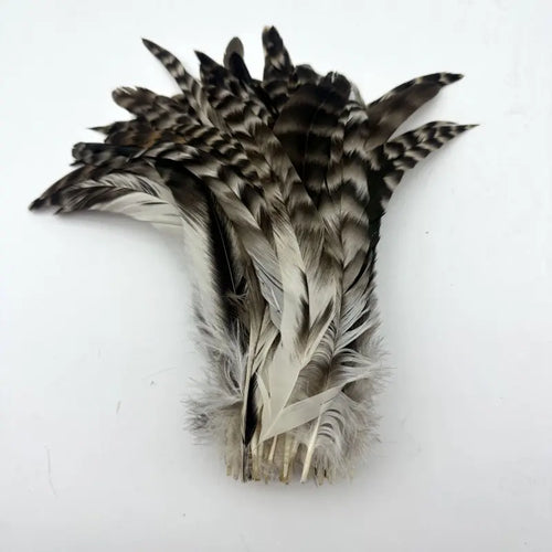 100PCS Natural Barred Rooster Tail Feathers (15-45CM) | Feathers | Wiccan Center