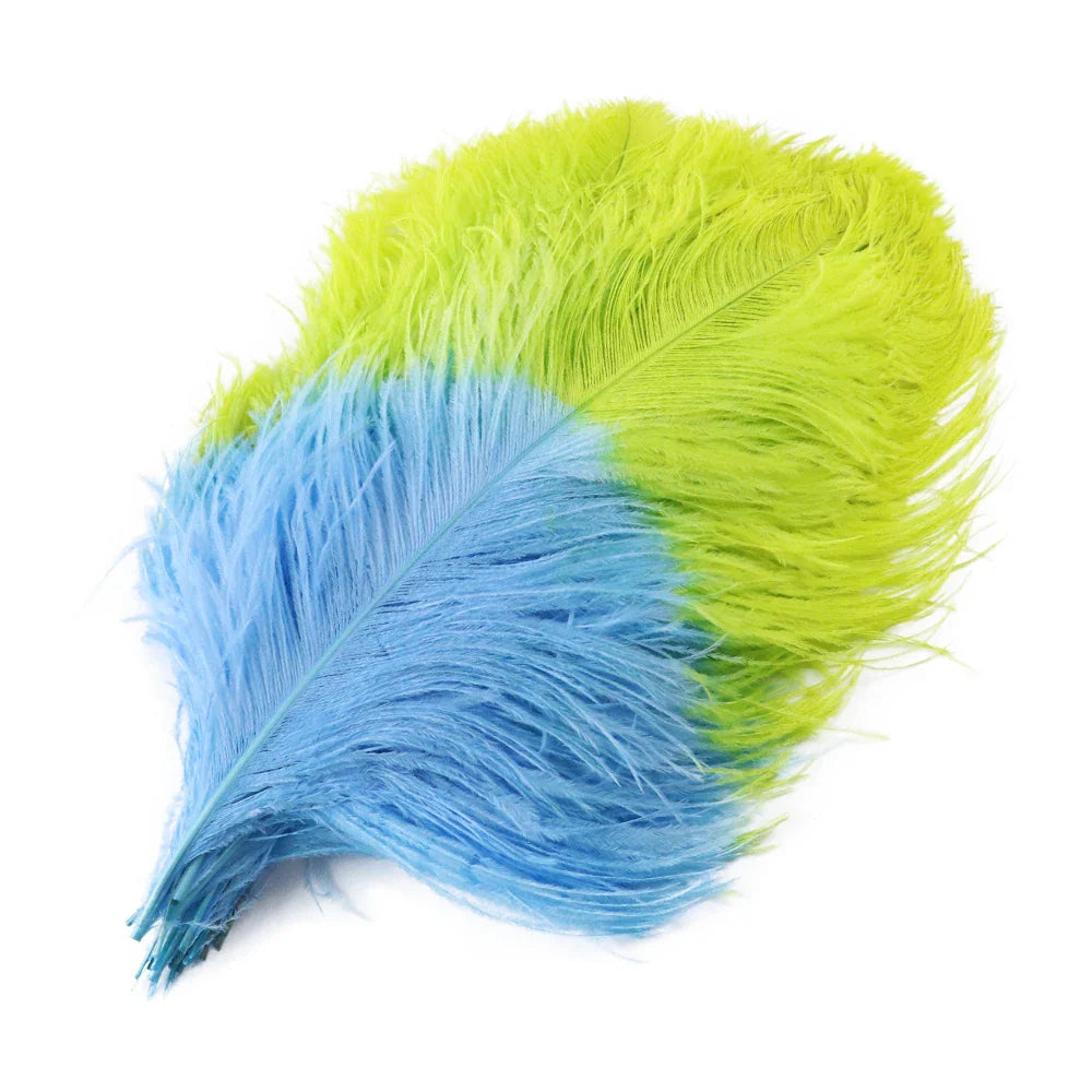 10PC Two-Tone Decorative Feather Plumes | Ostrich Feathers | Wiccan Center