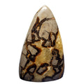 Septarian Stone Freeform