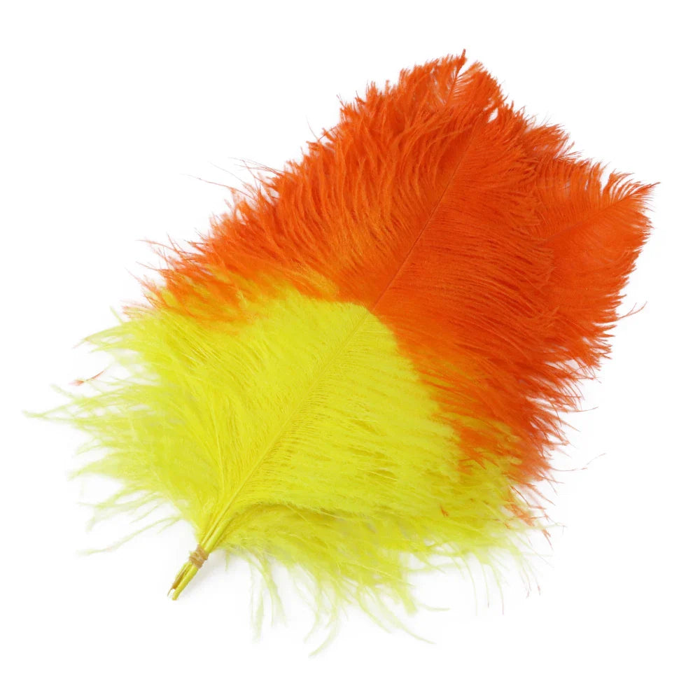 10PC Two-Tone Decorative Feather Plumes | Ostrich Feathers | Wiccan Center